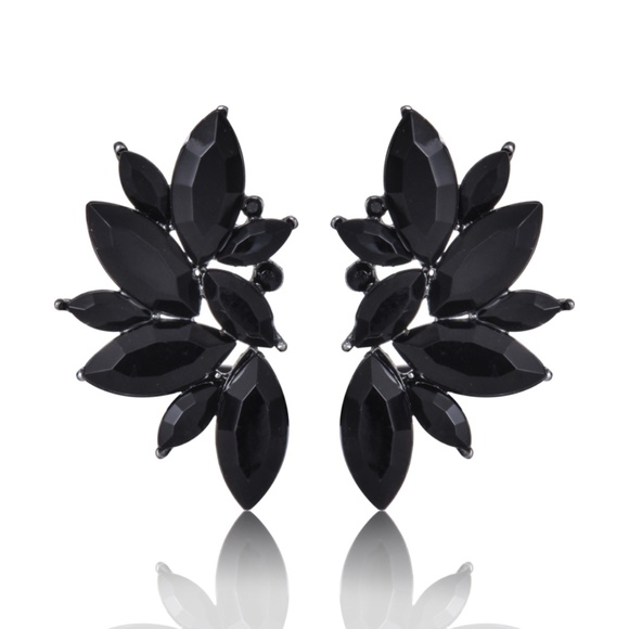 Jewelry - Onyx Black and Silver diamante Earrings